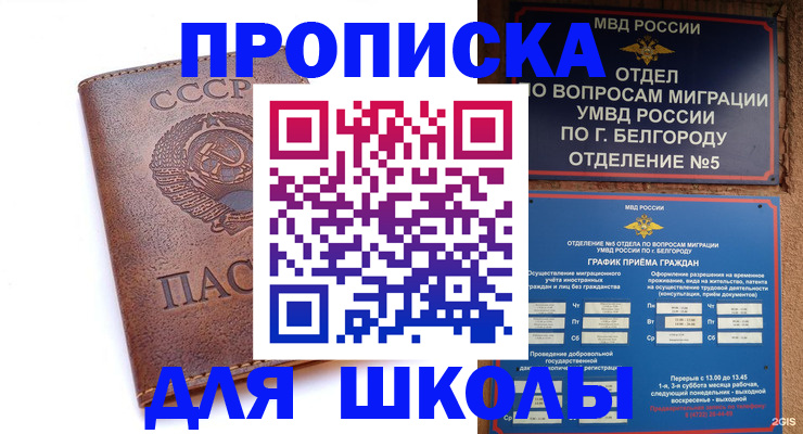 прописка для кредита в Домодедово
